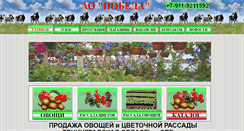 Desktop Screenshot of pobedazao.ru
