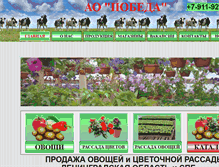 Tablet Screenshot of pobedazao.ru